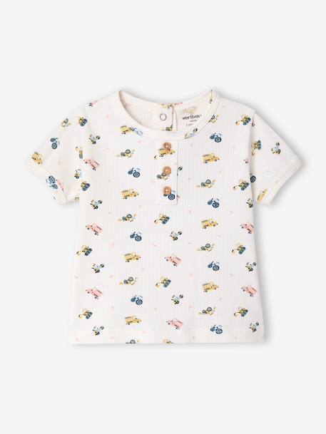 Lot 2 pyjashorts coton bio tomette - vertbaudet enfant 