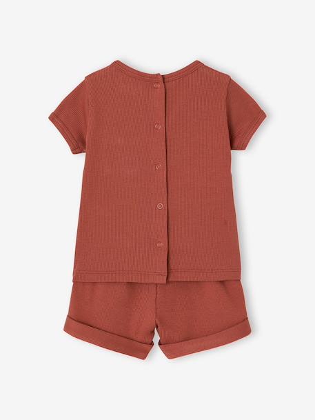 Lot 2 pyjashorts coton bio tomette - vertbaudet enfant 
