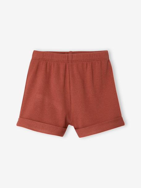 Lot 2 pyjashorts coton bio tomette - vertbaudet enfant 