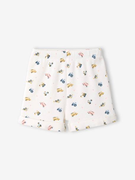 Lot 2 pyjashorts coton bio tomette - vertbaudet enfant 