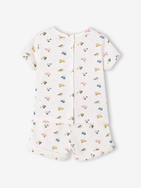 Lot 2 pyjashorts coton bio tomette - vertbaudet enfant 