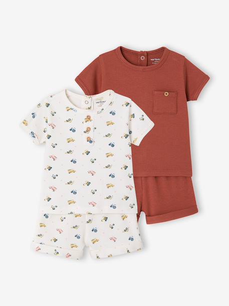 Lot 2 pyjashorts coton bio tomette - vertbaudet enfant 