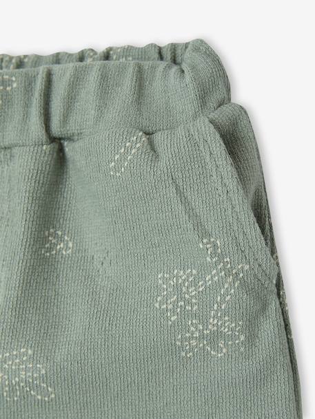 Set met short en T-shirt om te personaliseren hazelnoot+saliegroen - vertbaudet enfant 