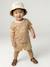 T-shirt baby jongen van biologisch katoen pecannoot - vertbaudet enfant 