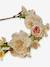 Couronne de fleur enfant écru - vertbaudet enfant 