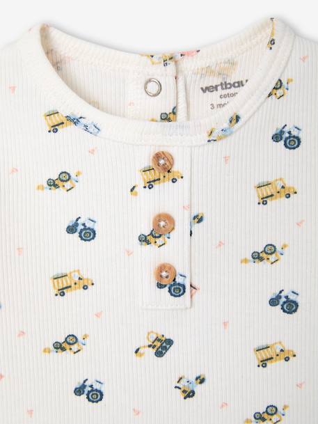 Lot 2 pyjashorts coton bio tomette - vertbaudet enfant 