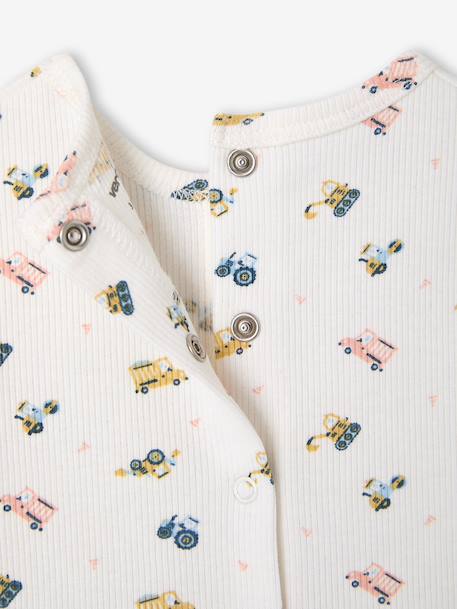 Lot 2 pyjashorts coton bio tomette - vertbaudet enfant 