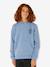 Sweat à capuche garçon bleu grisé - vertbaudet enfant 