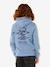 Sweater met capuchon voor jongens grijsblauw - vertbaudet enfant 