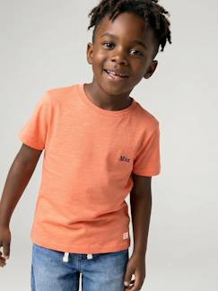 Jongens-Personaliseerbare gekleurd jongensshirt met korte mouwen