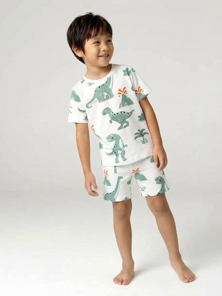 Lot 2 pyjashort garçon dinosaure vert sauge - vertbaudet enfant 