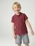 Polo garçon manches courtes broderie poitrine blanc+bleu+jaune pâle+kaki clair+MARINE+terracotta - vertbaudet enfant 