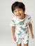 Lot 2 pyjashort garçon dinosaure vert sauge - vertbaudet enfant 