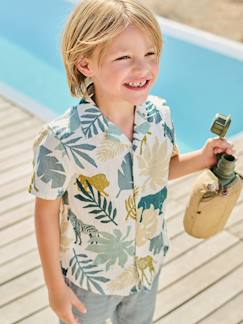 -Chemise manches courtes