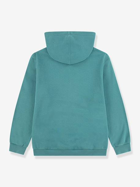 Sweat à capuche garçon vert - vertbaudet enfant 