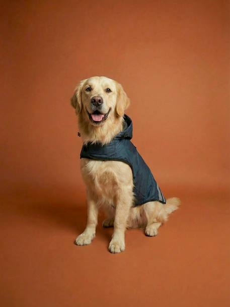 Waterdichte mantel voor honden leiblauw - vertbaudet enfant 