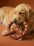 Jouet chien tissu bretzel noisette - vertbaudet enfant 