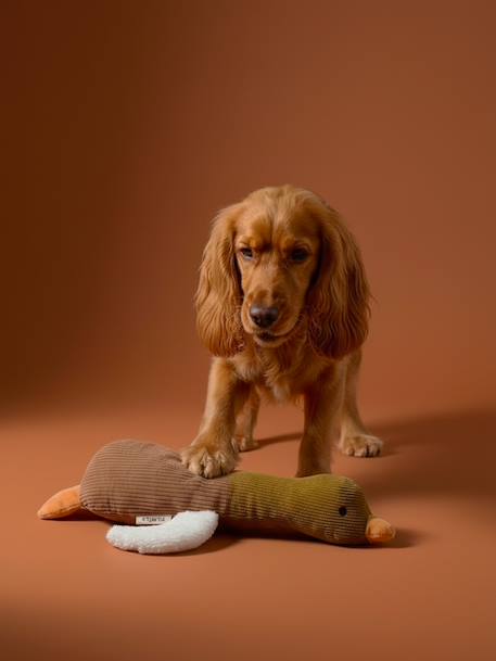 Jouet chien multi textures canard noisette - vertbaudet enfant 