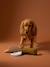 Jouet chien multi textures canard noisette - vertbaudet enfant 