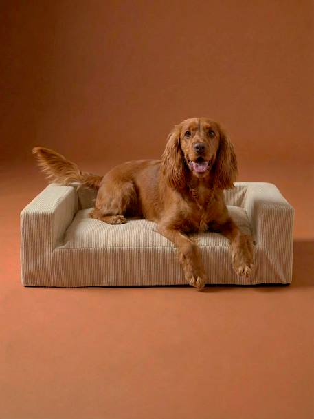 Sofa chien moyen velours côtelé écru - vertbaudet enfant 