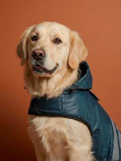 -Manteau imperméable pour chien