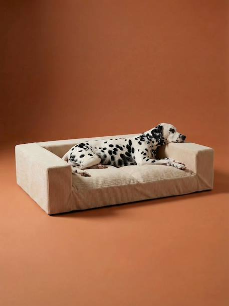 XL Sofa hond fluweel / velours ecru - vertbaudet enfant 