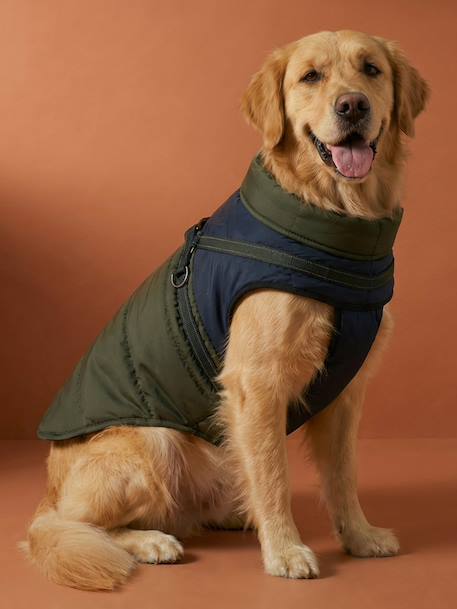 Donsjack hond met ritssluiting karamel - vertbaudet enfant 