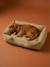 Gequilte mand voor huisdier FAMILY hazelnoot+klei+wit, gestreept - vertbaudet enfant 