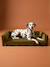 Canapé velours chien grand bronze - vertbaudet enfant 