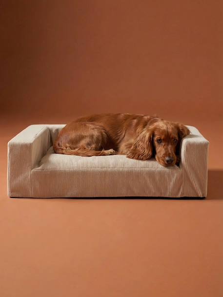 Sofa chien moyen velours côtelé écru - vertbaudet enfant 