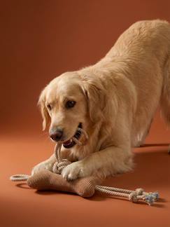 -Lot benodigdheden / toebehoren hond