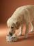 Gamelle en céramique pour chien blanc imprimé+camel+rayé rose - vertbaudet enfant 