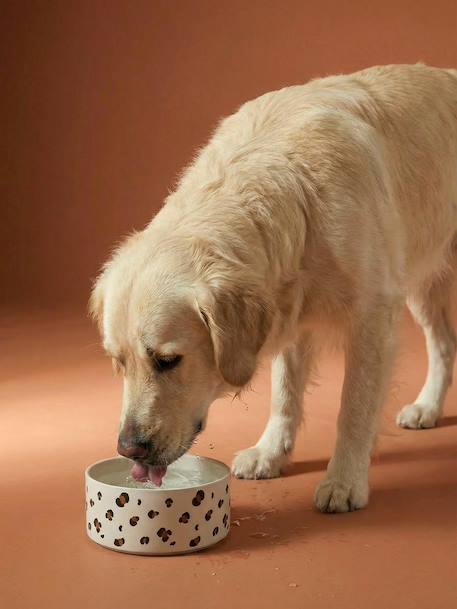 Keramische voerbak voor honden FAMILY kameel+roze, gestreept+wit, bedrukt - vertbaudet enfant 
