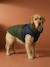 Donsjack hond met ritssluiting karamel - vertbaudet enfant 