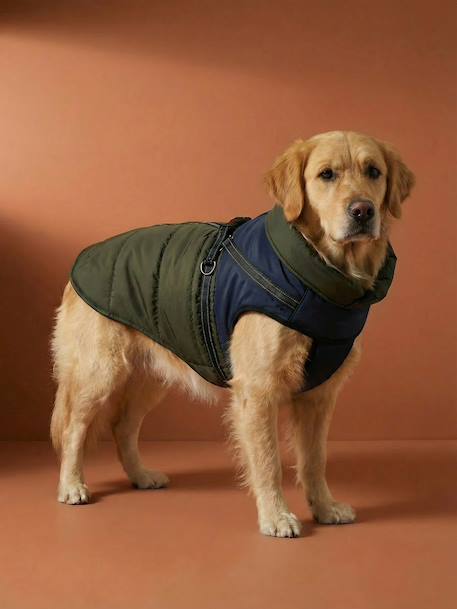 Manteau doudoune chien zip harnais caramel - vertbaudet enfant 
