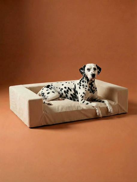 XL Sofa hond fluweel / velours ecru - vertbaudet enfant 