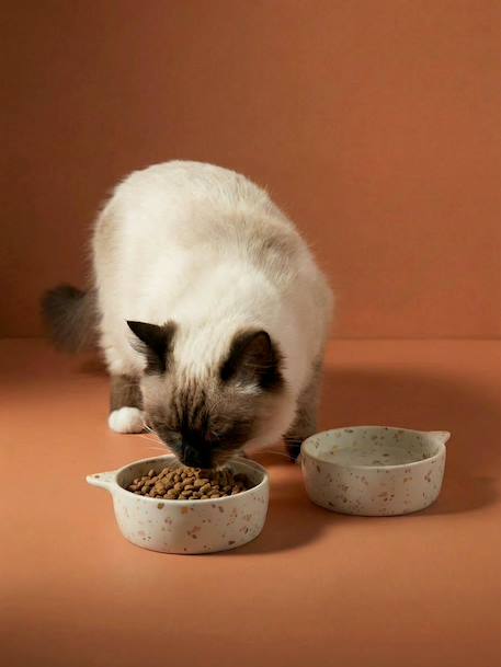 Lot de 2 gamelles pour chat en céramique blanc imprimé+écru - vertbaudet enfant 