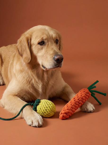 Set van 2 touwspeelgoed voor honden met fruit geel - vertbaudet enfant 