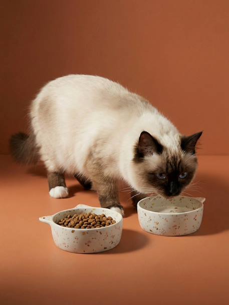 Lot de 2 gamelles pour chat en céramique blanc imprimé+écru - vertbaudet enfant 