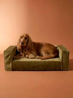 -Canapé chien velours moyen