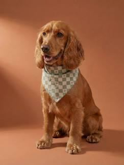 -Bandana chien coton