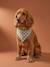 Bandanaslabbetje hond katoen beige, geruit+bruin, bedrukt+wit, bedrukt - vertbaudet enfant 