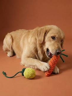 -Lot 2 jouets corde chien fruits