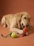 Set van 2 touwspeelgoed voor honden met fruit geel - vertbaudet enfant 
