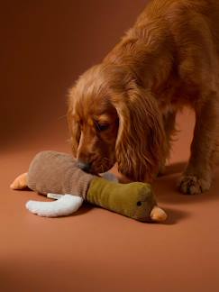 -Jouet chien multi textures canard