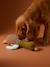 Jouet chien multi textures canard noisette - vertbaudet enfant 