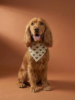 -Bandana chien coton
