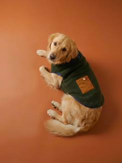 -Manteau polaire chien