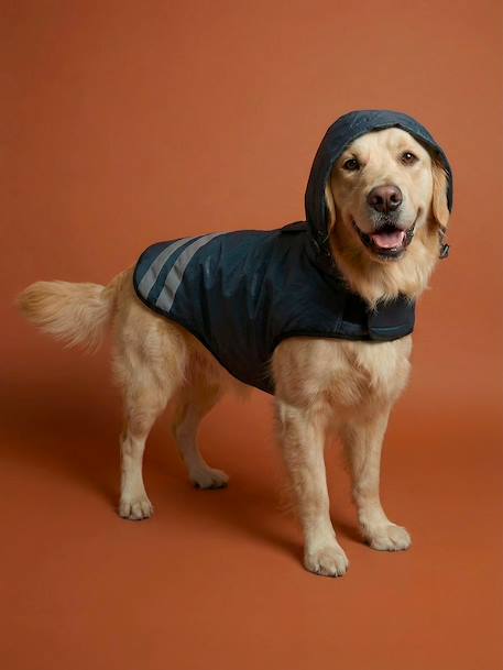 Manteau imperméable pour chien bleu ardoise - vertbaudet enfant 