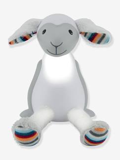 -Peluche veilleuse et liseuse Fin le mouton